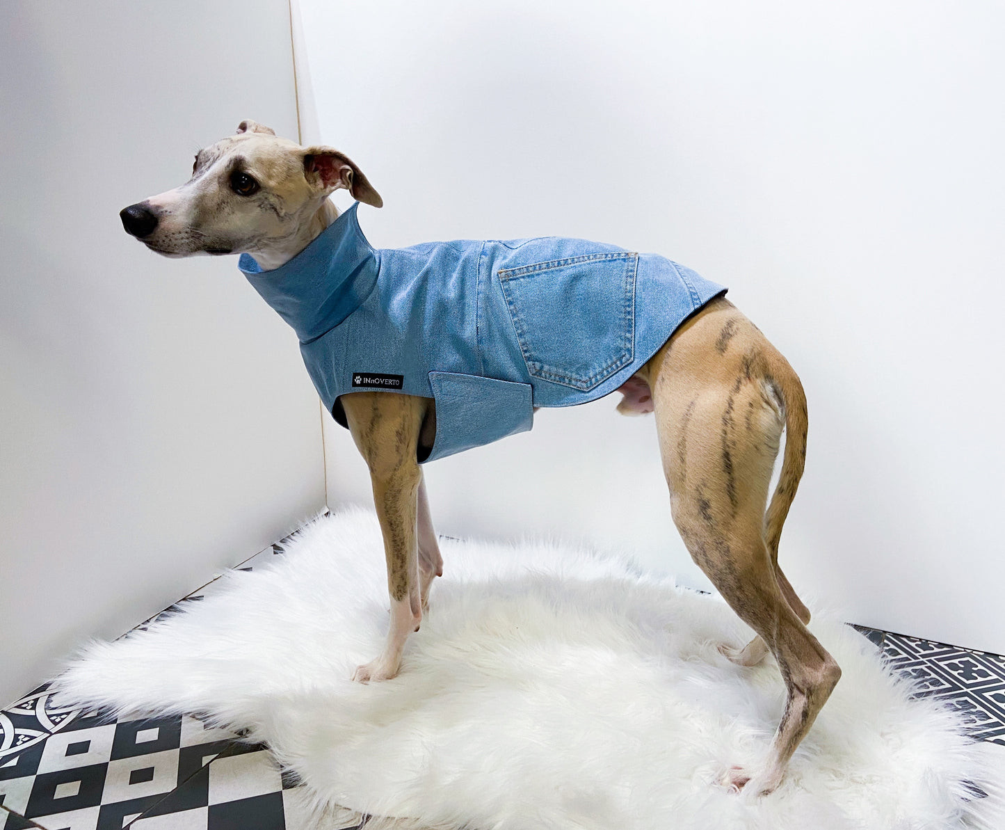 Veste en jeans whippet innoverto.dog