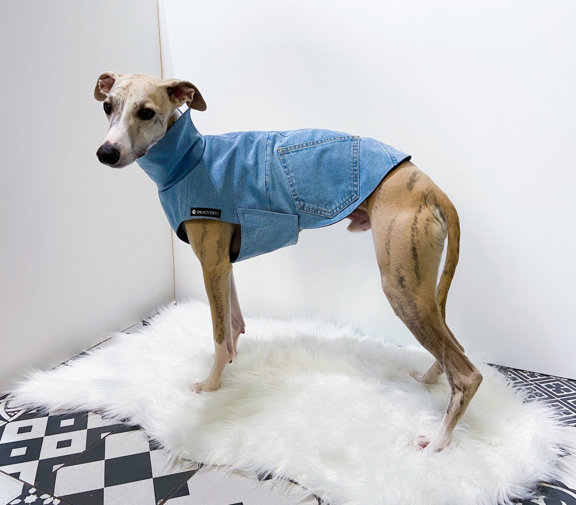 Veste en jeans whippet innoverto.dog