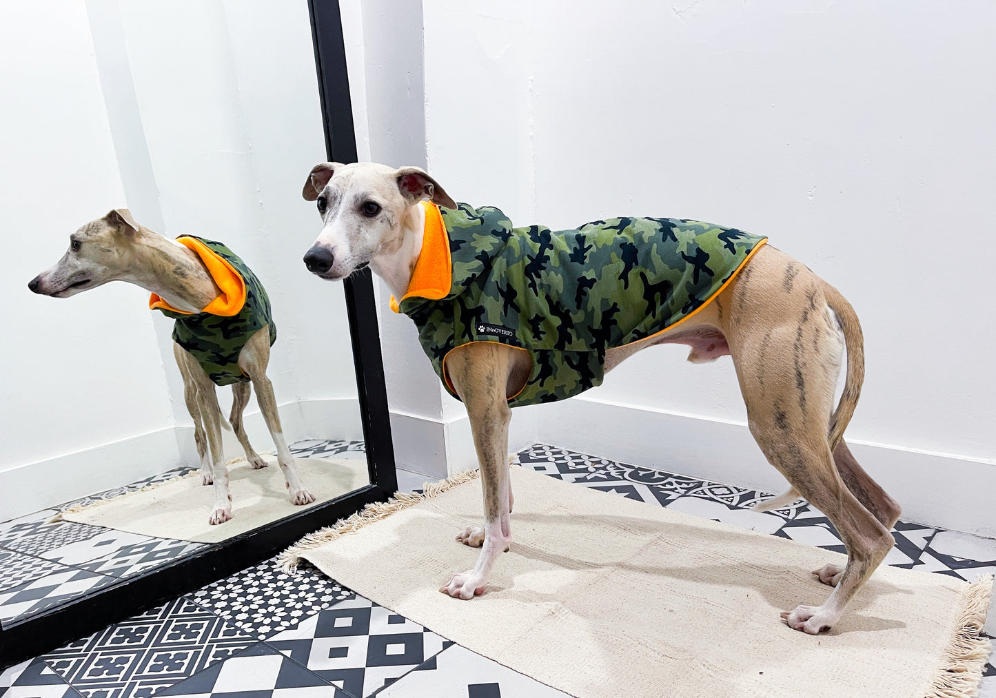 Pull camouflage kaki whippet innoverto.dog