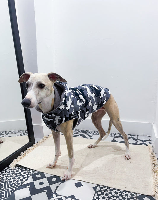 Pull camouflage gris whippet innoverto.dog