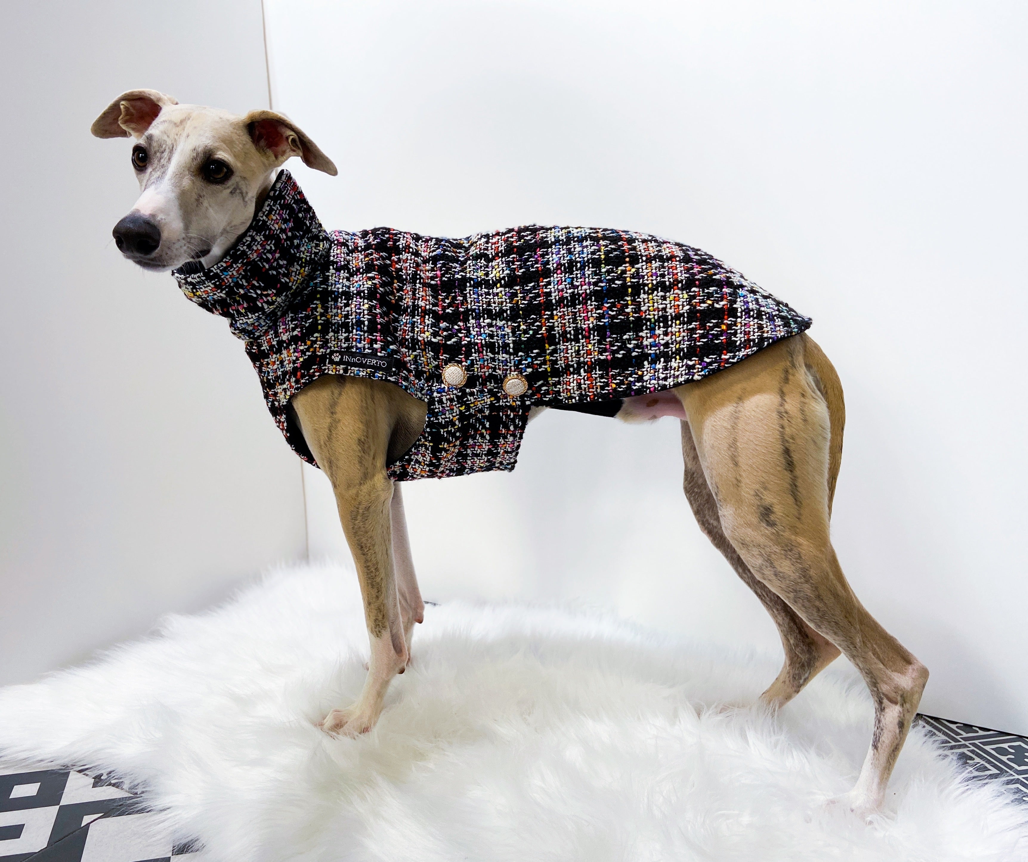 Manteau whippet best sale