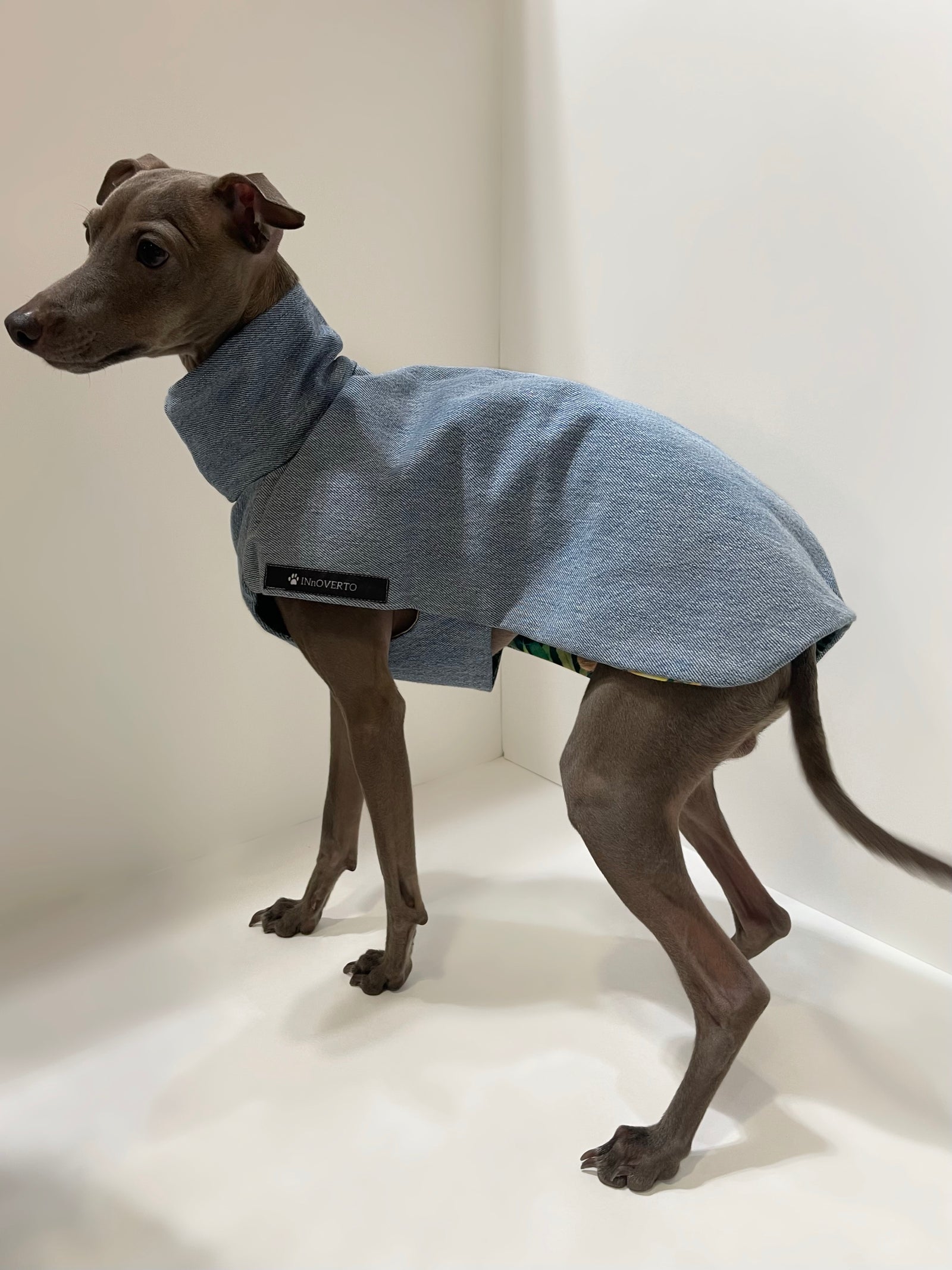 coupe-vent manteau lévrier réversible