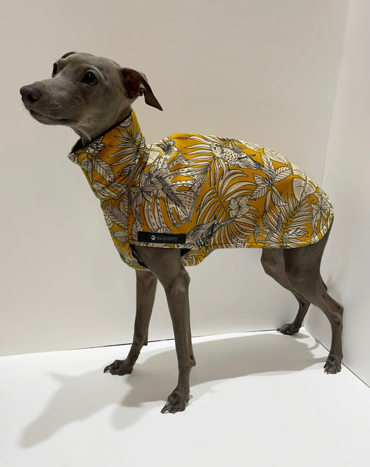 Roméo debout portant un manteau moutarde à motifs de perroquets et col montant, INnOVERTO Dog.