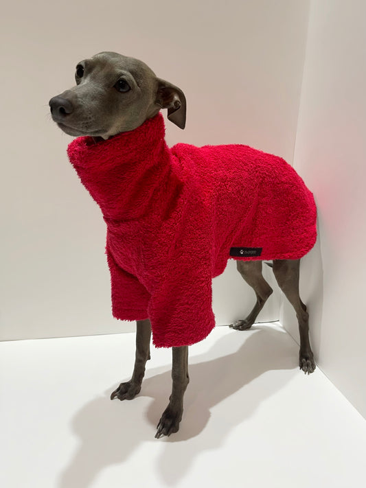 Roméo debout portant une sortie de bain rouge en éponge à col montant, INnOVERTO Dog.